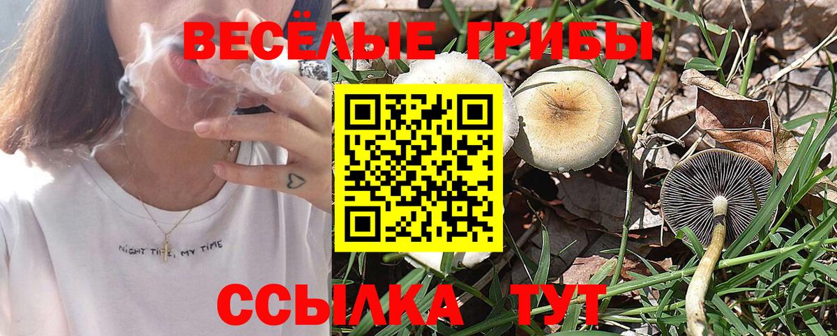 Люберцы  Псилоцибиновые грибы мицелий  Вход с VPN 